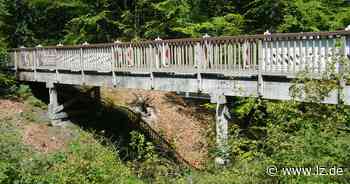 Donoper Teich bekommt neue Brücke | Lokale Nachrichten aus Detmold - Lippische Landes-Zeitung