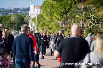 Cannes est-elle une ville agréable pour les piétons? Découvrez les résultats de notre sondage