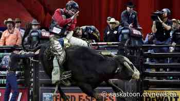 Sask. bull rider inching closer to consecutive PBR Canada titles