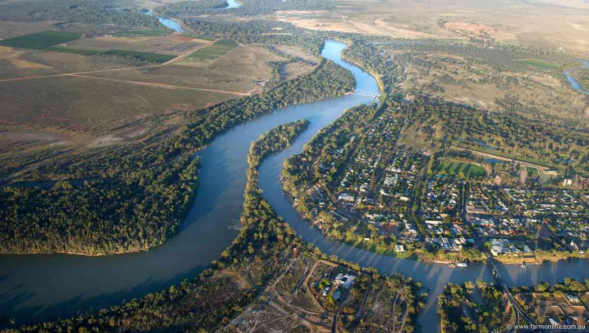 Приток реки дарлинг. Река Дарлинг в Австралии. Реки Дарлинг и Муррей. Река Муррей в Австралии. Река Муррей с притоком Дарлинг.