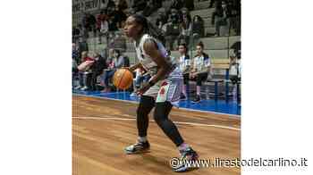 E-Work alla prova del nove contro la corazzata Schio - il Resto del Carlino