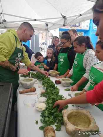 Il basilico genovese dop di Andora protagonista a Fossano di “Coloratissimo Autunno” - IVG.it