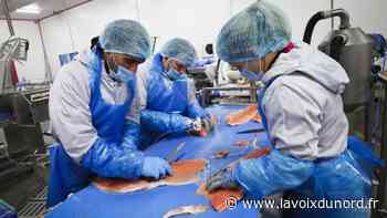 Arras: un Job Dating sur les professions agroalimentaires avec l'AFPA - La Voix du Nord