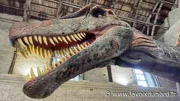 Des dinosaures envahissent l'hippodrome d'Arras pour trois semaines - La Voix du Nord