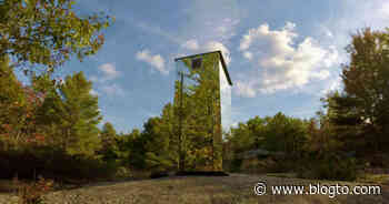 There's a forest in Ontario filled with the most unusual pieces of art - blogTO