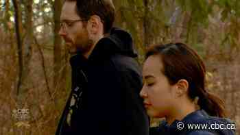 'Wild Calm' uses forest therapy to quiet the mind - CBC.ca