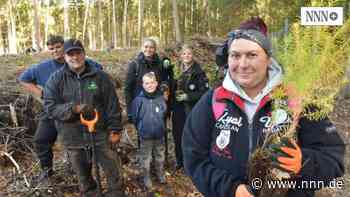 Aktion von Stadt und Zoo: Hunderte pflanzen Bäume in der Rostocker Heide | nnn.de - nnn.de