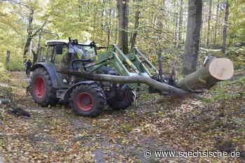 Dresden: Massive Sturmschäden in der Heide - Sächsische.de