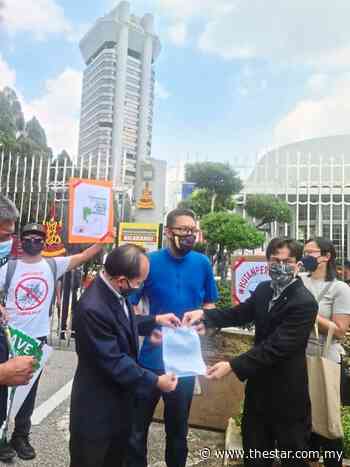 Hee: Developers hold land titles for plots of Shah Alam forest reserve - The Star Online