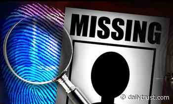 Fear grips Jalingo residents as cases of missing persons rise - Daily Trust