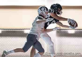 Memorable catch gets Upper St. Clair receiver Aidan Besselman on ESPN - Pittsburgh Post-Gazette