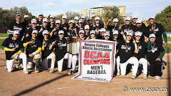 Three Locals Win Provincial Gold With St. Clair Baseball Team - Chatham-Kent Sports Network