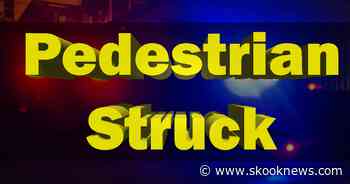 Saint Clair Man Dies After Being Struck by a Vehicle near Pine Grove - Skook News