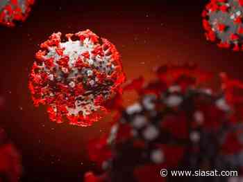 Coronavirus cases on the rise in West Bengal - The Siasat Daily