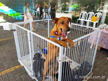 Capivari de Baixo: ações culturais, de conscientização e de saúde serão promovidas no Parque Ambiental - Notisul