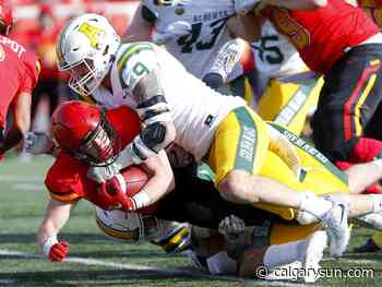 Struggling Dinos commit more 'critical mistakes' in loss to Golden Bears - Calgary Sun