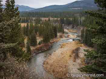 On the Road: Forgot - Calgary Herald