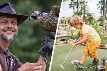 Chemnitz: Mit guter Laune und unseren Samstagstipps ins Wochenende - TAG24