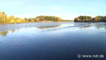 Reinfeld: Abfischen von Karpfen fällt ins Wasser - NDR.de