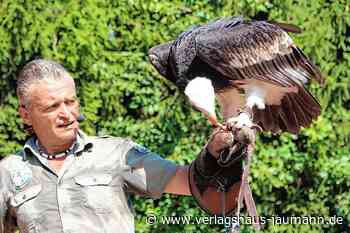 Steinen - Familienbetrieb trotztder Corona-Pandemie - www.verlagshaus-jaumann.de