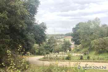 Verkeers- en coronamaatregelen moeten Benelux Tour in goede banen te leiden - Het Belang van Limburg
