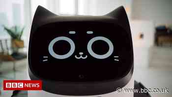 Robo-cat waiters come to restaurant chain and other news