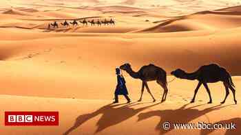 How to plug the UK into desert sunshine