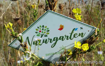 In diesen Gärten im Unterallgäu blüht die Artenvielfalt - Allgäuer Zeitung