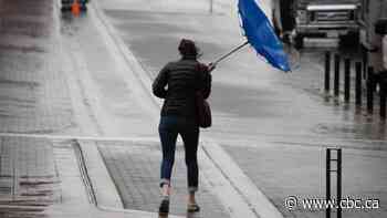 Strong winds in the forecast for B.C.'s South Coast, Vancouver Island