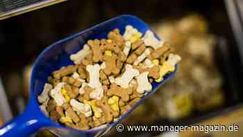 Zooplus: Rivalen verbünden sich und bieten gemeinsam für Tierbedarfshändler