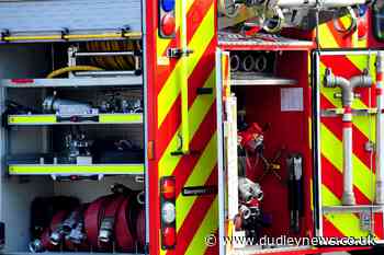 Kittens and cat die following deliberate fire - Dudley News