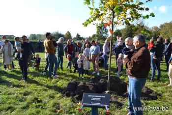Stekenaartjes uit 2019 en 2020 krijgen geboorteboom (Stekene) - Gazet van Antwerpen Mobile - Gazet van Antwerpen