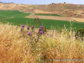EDITORIALE Crotone, citta' accerchiata da discariche e impianti: chi rema contro? - La Provincia Kr