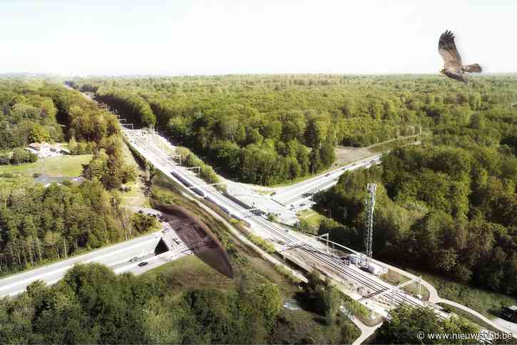 Nieuw: het ecorecreaduct. “Je hebt niet het gevoel een snelweg over te steken, maar maakt een aangename wandeling in de natuur”