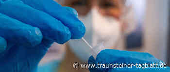 Mitarbeiter in den Testzentren müssen sich einiges anhören – Die Regelungen machen aber Bund und Land - Traunsteiner Tagblatt