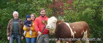Traunstein: Winkerduelle beim Großviehmarkt in Traunstein – 82.000 Euro für Besamungsstier Monet erzielt - Traunsteiner Tagblatt