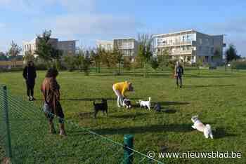 Kouterwijk verwelkomt hondenspeelweide