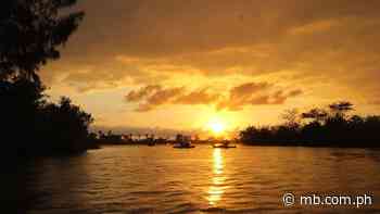 How a gardener’s hobby of growing plants flourished into a productive beach farm - Manila Bulletin