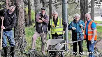 Biodiversity project completed at Mayo lakeside thanks to top gardener's generosity - Connaught Telegraph