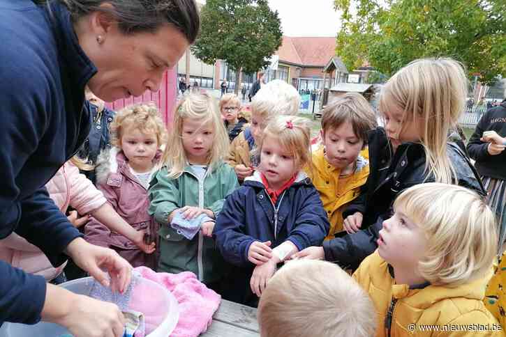 Thee in de Windwijzer