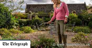 Tricks I learnt from a royal gardener - Telegraph.co.uk