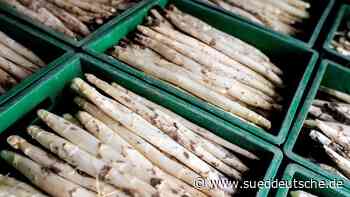 Spargelbauern fürchten zu hohen Mindestlohn - Süddeutsche Zeitung