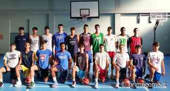 Basket C Silver, Varedo bestia nera delle squadre lariane: dopo Erba cade anche il Gorla Cantù - Prima Como