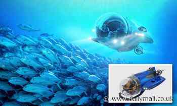 Dutch company unveils electric Super Sub that can go almost 10mph and outpace a bottlenose dolphin 