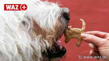 Wabe in Witten backt jetzt auch Kekse für Hunde - Westdeutsche Allgemeine Zeitung