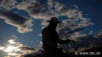 Why Alberta seems poised for a major political shift