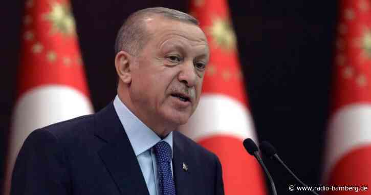 Botschafter-Eklat: Kritik an Erdogan aus dem In- und Ausland