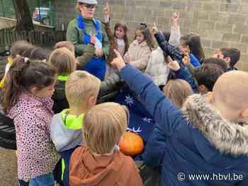Boer Lisa op bezoek in De Beerring (Beringen) - Het Belang van Limburg Mobile - Het Belang van Limburg