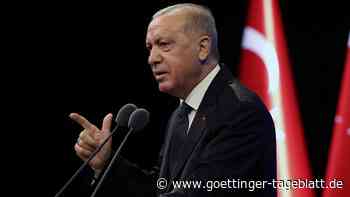 Botschafter dürfen in Türkei bleiben: Erdogan will westliche Diplomaten doch nicht ausweisen