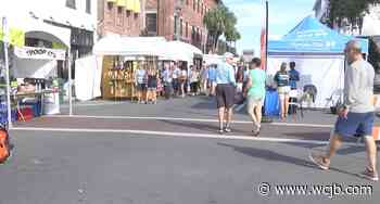 Thousands came out to enjoy the 54th annual Ocala Arts Festival - WCJB